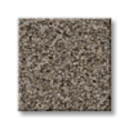 Shaw Smithtown Bay Impartial Texture Carpet with Pet Perfect Plus-Sample